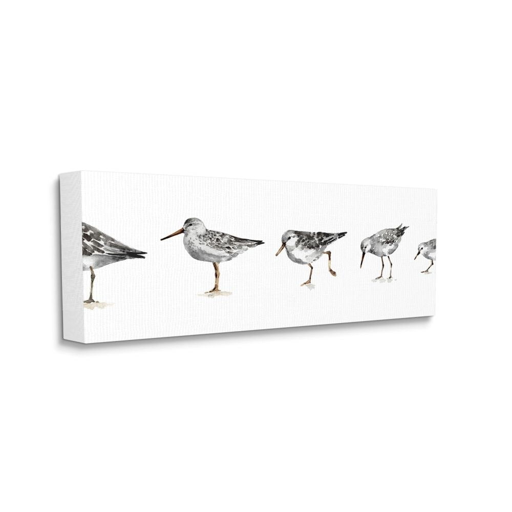 Stupell Industries Sandpiper Bird Stances Minimal Grey White Painting Canvas Wall Art Design by Lisa Audit, 20" x 48"