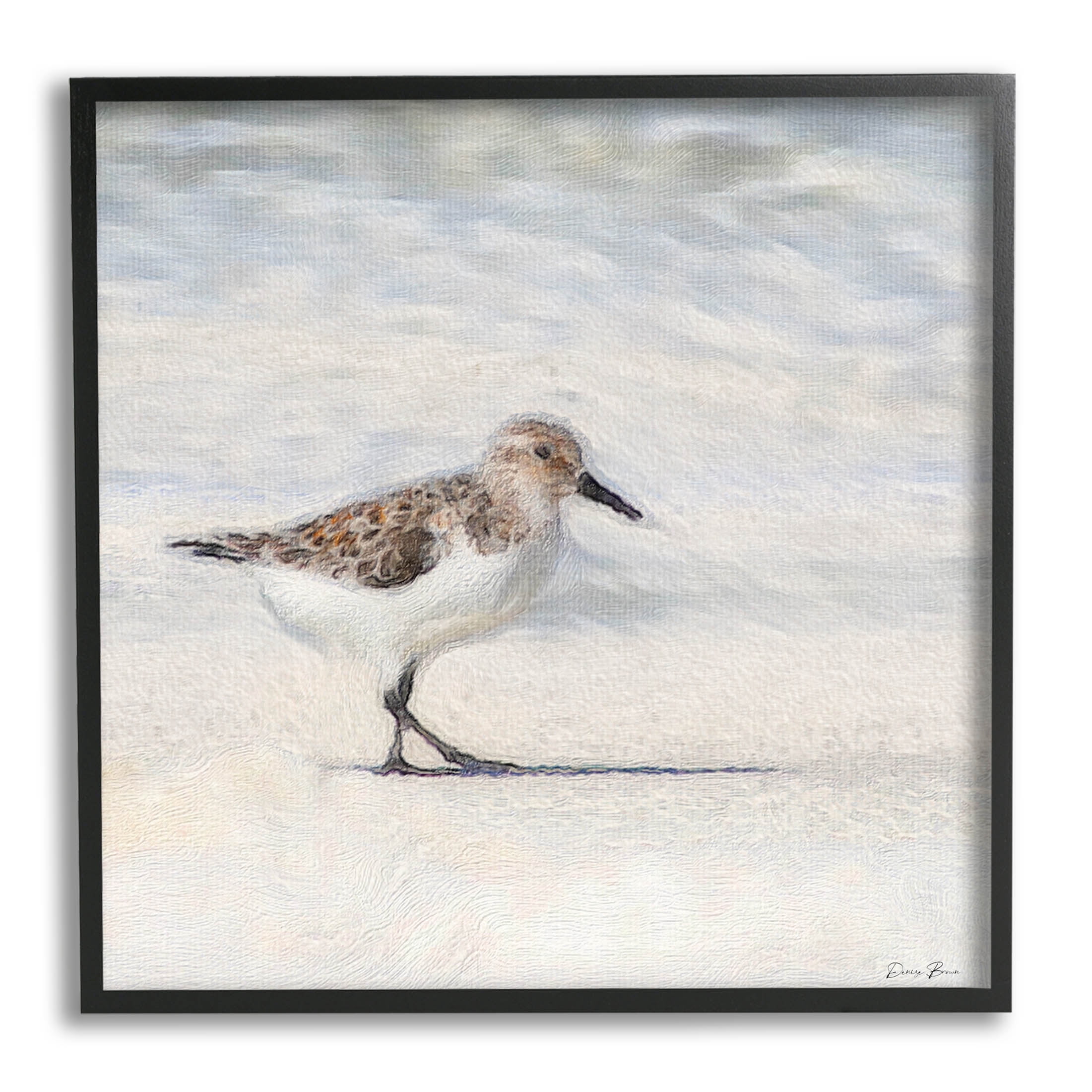 Stupell Industries Sandpiper Bird Stepping Beach Sand Graphic Art Black Framed Art Print Wall Art, Design by Denise Brown