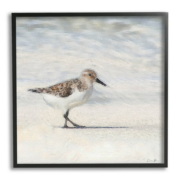 Stupell Industries Sandpiper Bird Stepping Beach Sand Graphic Art Black Framed Art Print Wall Art, Design by Denise Brown