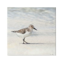 Stupell Industries Sandpiper Bird Stepping Beach Sand Graphic Art Gallery Wrapped Canvas Print Wall Art, Design by Denise Brown
