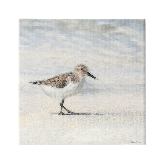 Stupell Industries Sandpiper Bird Stepping Beach Sand Graphic Art Gallery Wrapped Canvas Print Wall Art, Design by Denise Brown