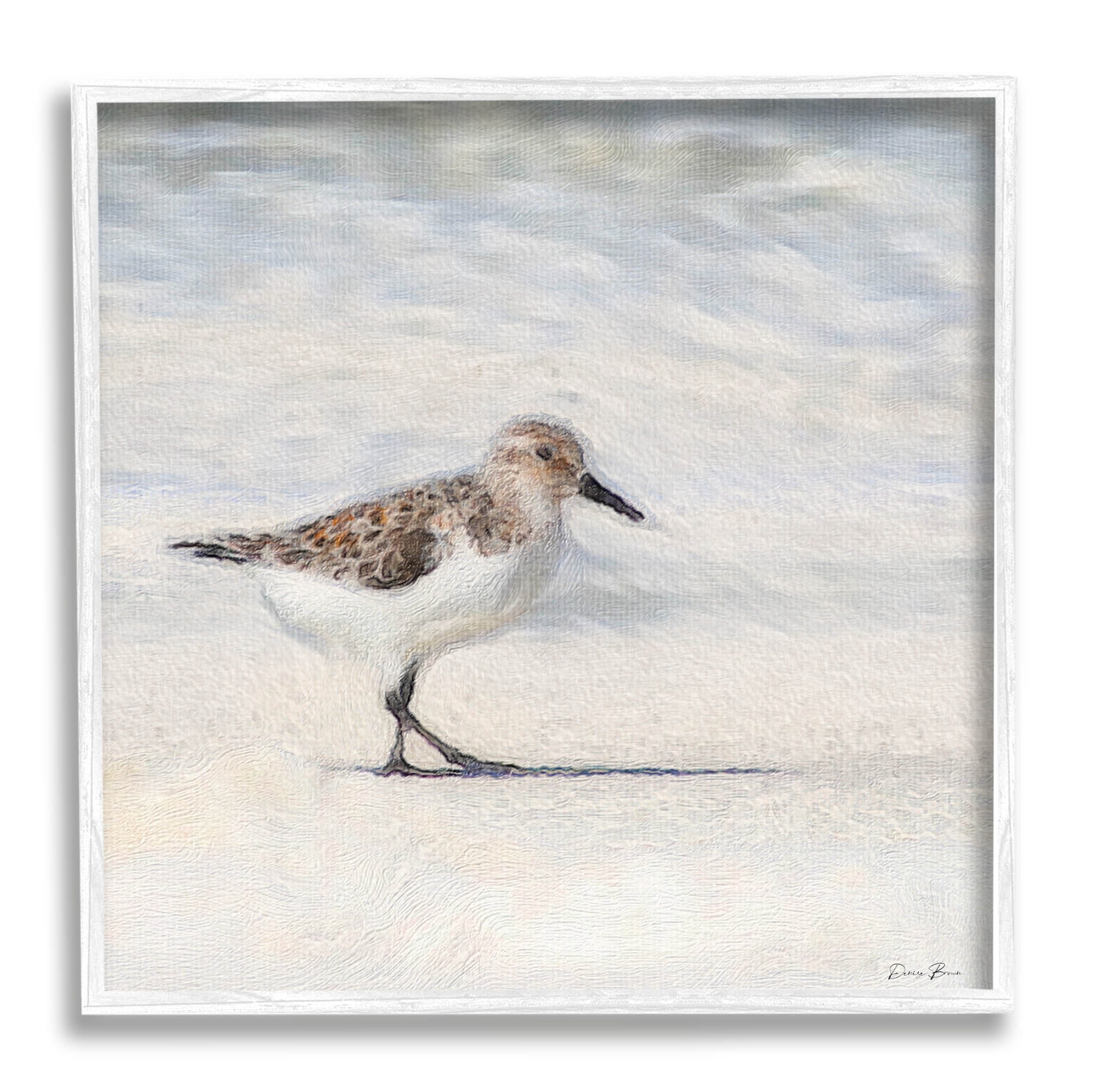 Stupell Industries Sandpiper Bird Stepping Beach Sand Graphic Art White Framed Art Print Wall Art, Design by Denise Brown