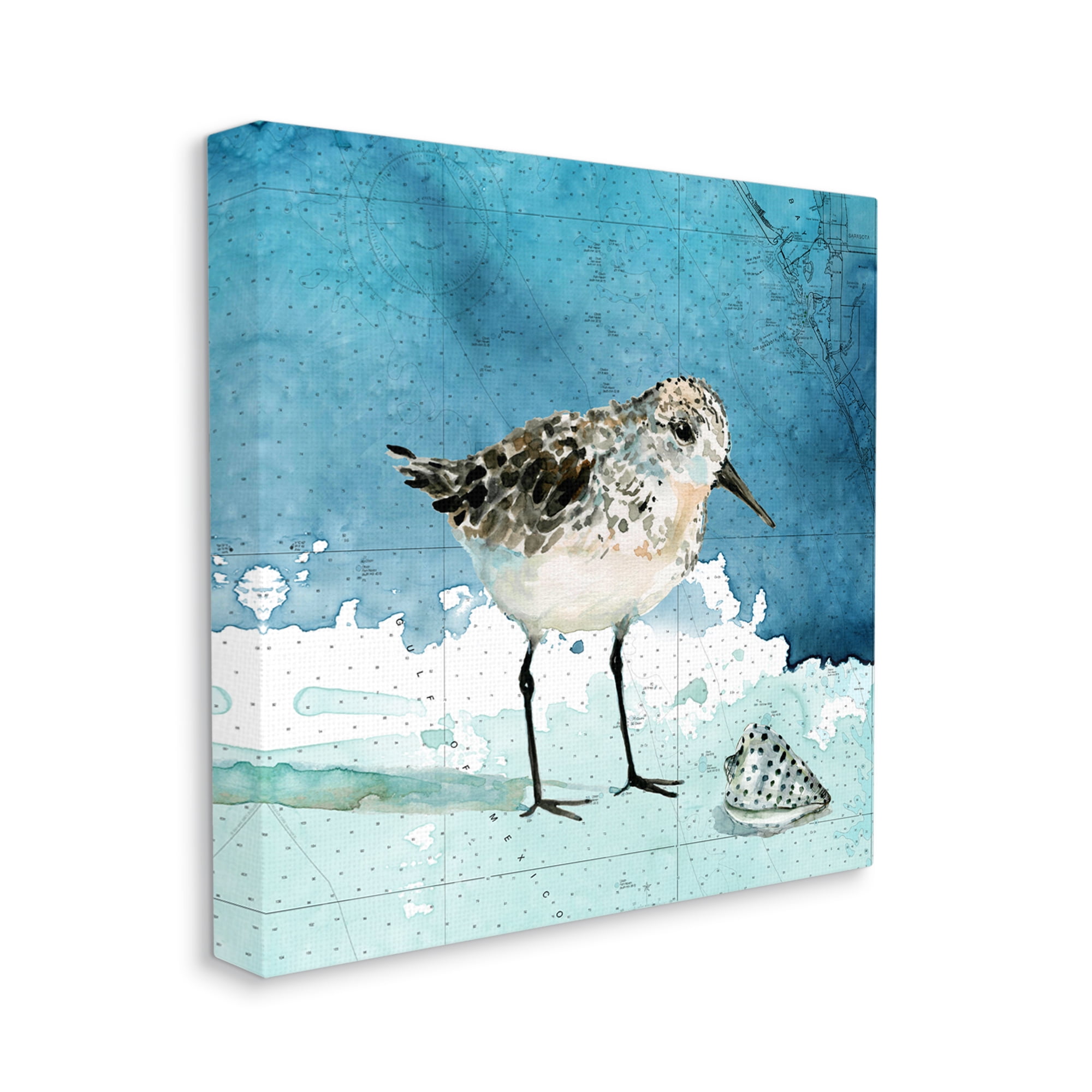 Stupell Industries Sandpiper Bird and Shell Nautical Ocean Map Animals & Insects Painting Gallery Wrapped Canvas Print Wall Art, 36 x 36