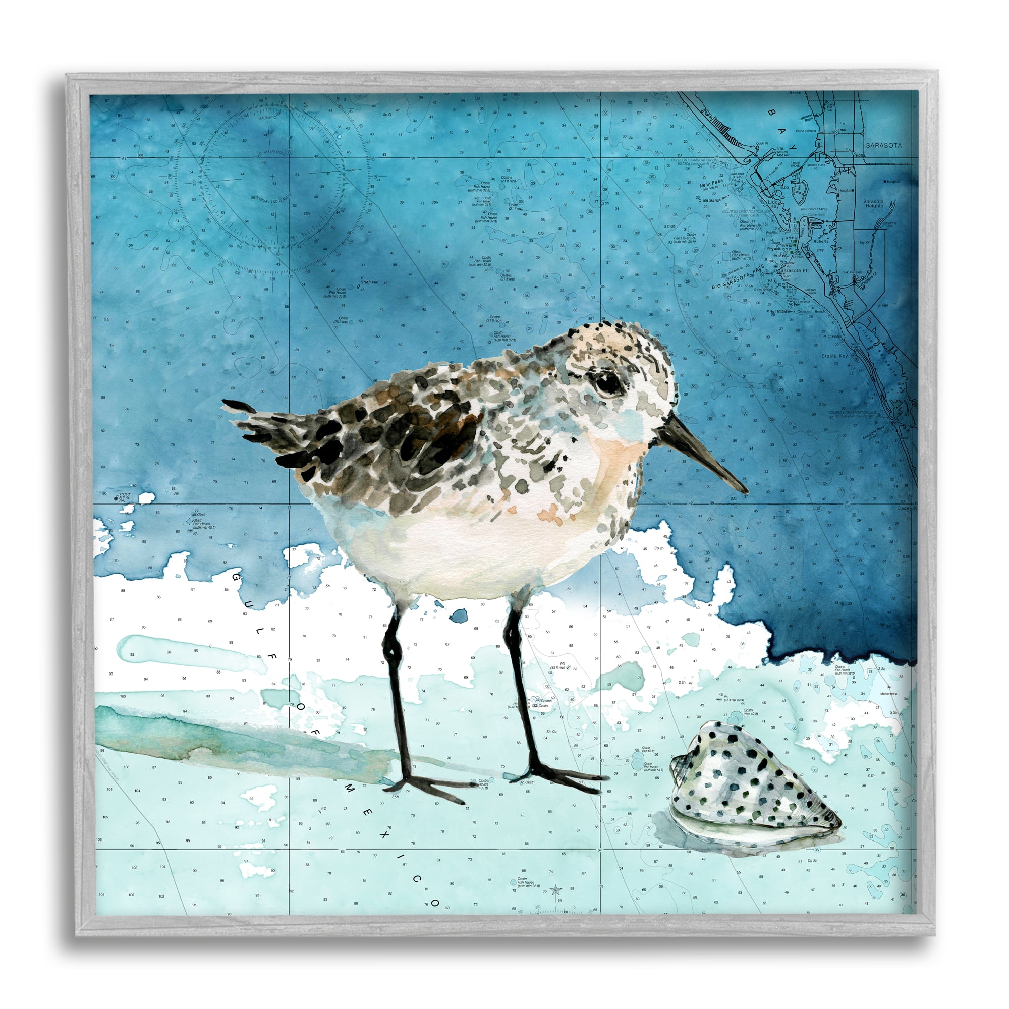 Stupell Industries Sandpiper Bird and Shell Nautical Ocean Map Animals & Insects Painting Gray Framed Art Print Wall Art, 12 x 12