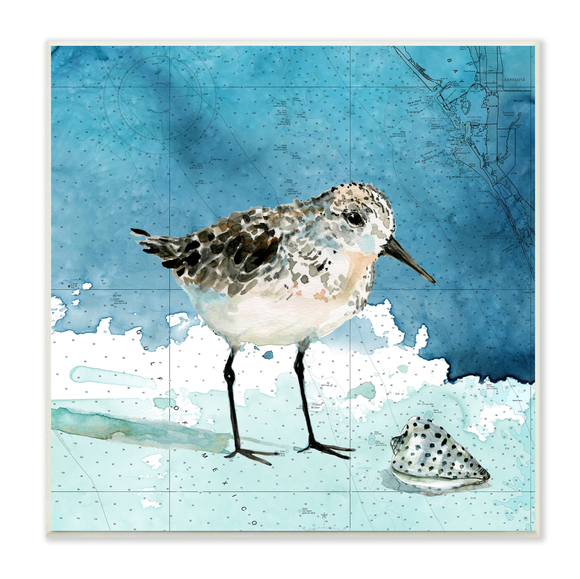 Stupell Industries Sandpiper Bird and Shell Nautical Ocean Map Animals & Insects Painting Unframed Art Print Wall Art, 12 x 12