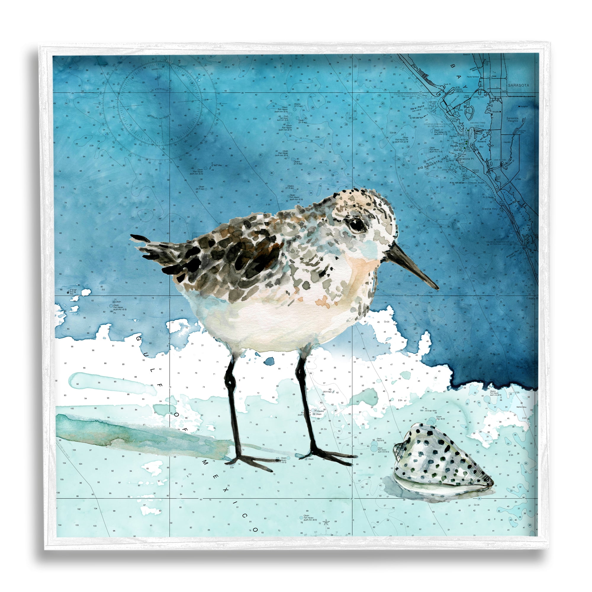 Stupell Industries Sandpiper Bird and Shell Nautical Ocean Map Animals & Insects Painting White Framed Art Print Wall Art, 12 x 12
