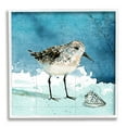 thumbnail image 1 of Stupell Industries Sandpiper Bird and Shell Nautical Ocean Map Animals & Insects Painting White Framed Art Print Wall Art, 24 x 24, 1 of 8