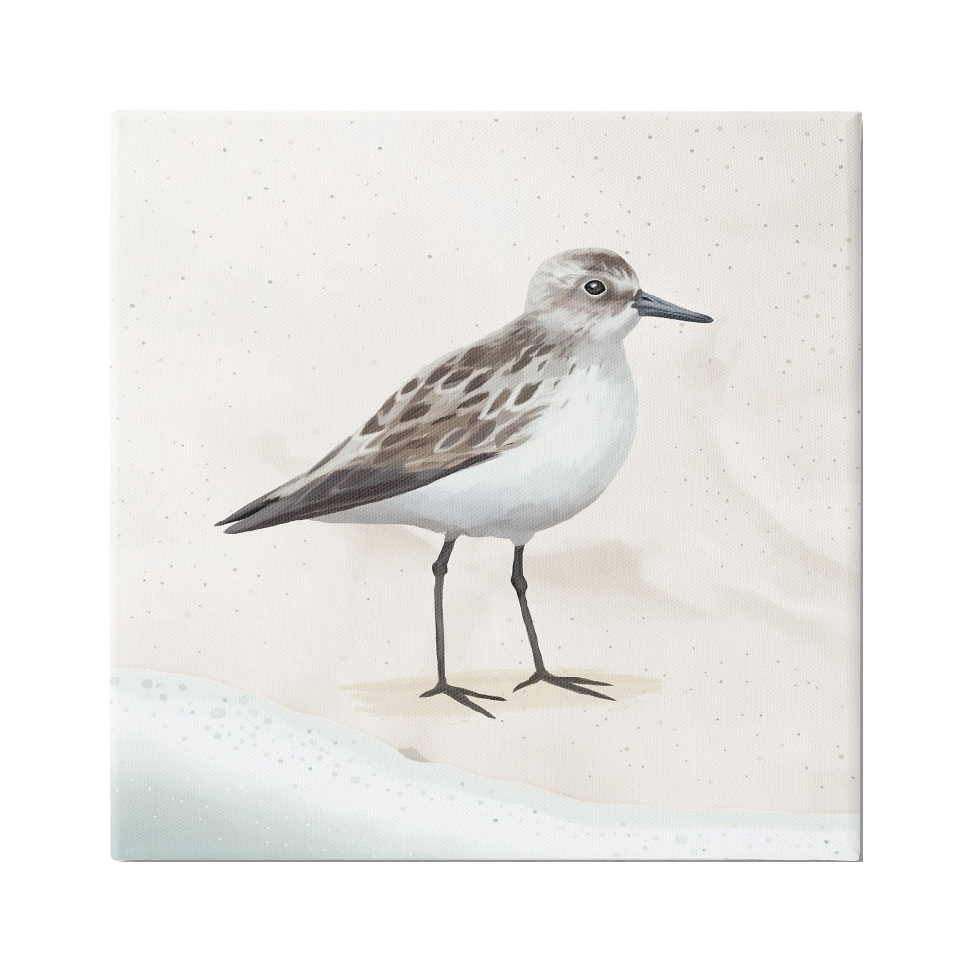 Stupell Industries Sandpiper Bird at Water's Edge Beach Shoreline Graphic Art Gallery Wrapped Canvas Print Wall Art, Design by Lucca Sheppard