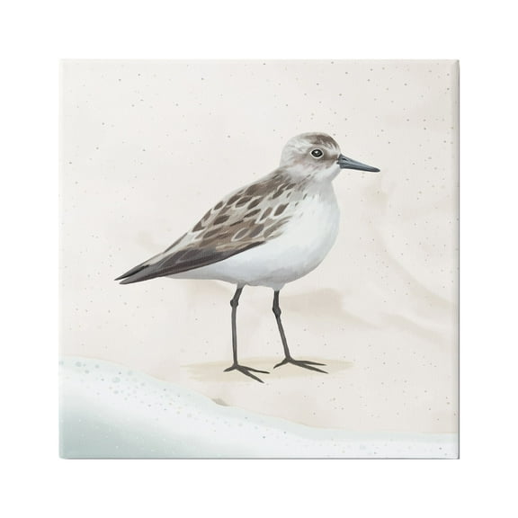 Stupell Industries Sandpiper Bird at Water's Edge Beach Shoreline Graphic Art Gallery Wrapped Canvas Print Wall Art, Design by Lucca Sheppard