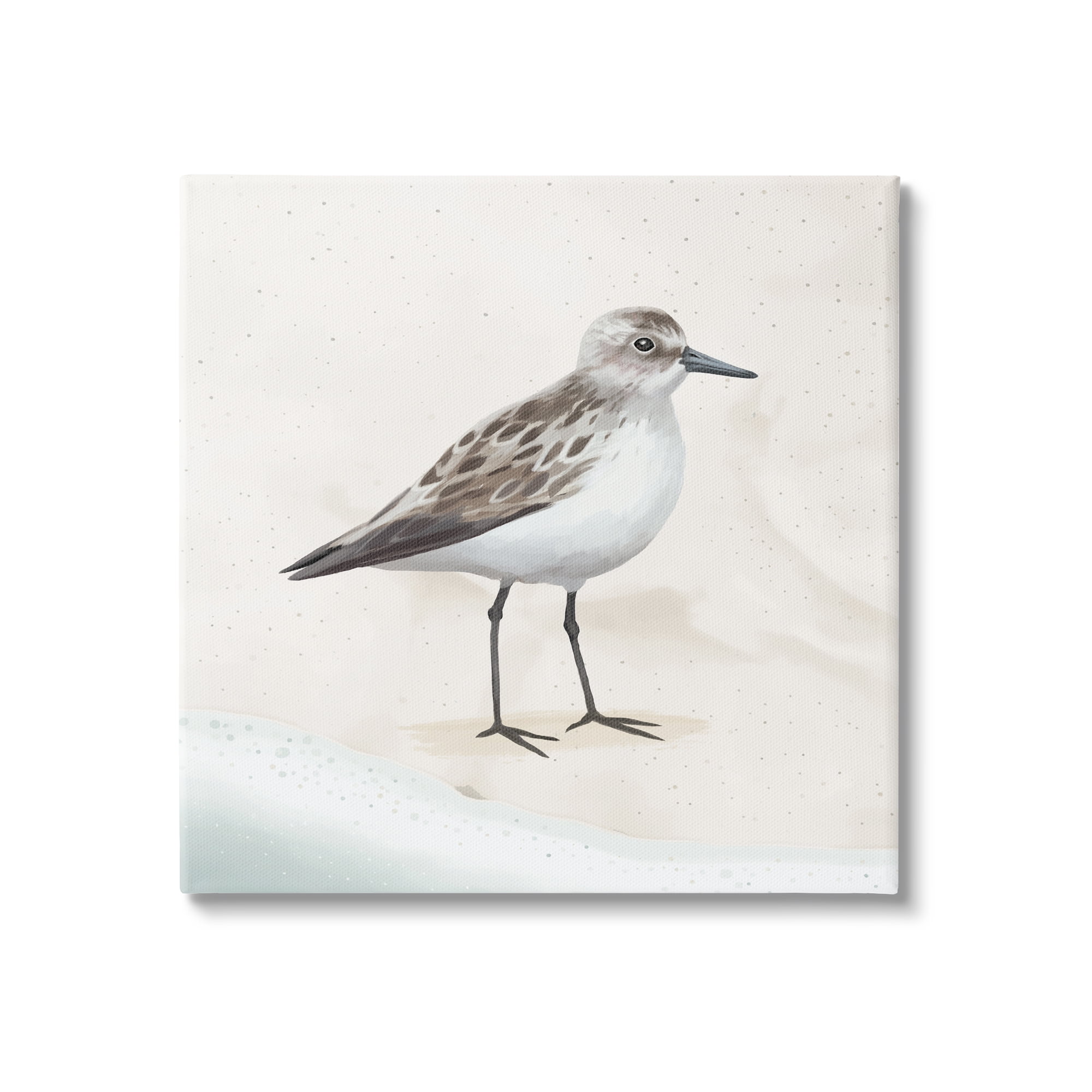 Stupell Industries Sandpiper Bird at Water's Edge Beach Shoreline Graphic Art Gallery Wrapped Canvas Print Wall Art, Design by Lucca Sheppard