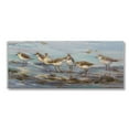 thumbnail image 1 of Stupell Industries Sandpiper Flock on Shore Animals & Insects Painting Gallery Wrapped Canvas Art Print Wall Art, 40 x 17, 1 of 8
