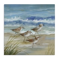 Stupell Industries Sandpiper Gathering View Canvas Wall Art design by Nan, 17 x 17