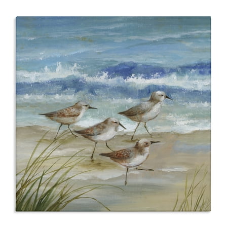 Stupell Industries Sandpiper Gathering View Canvas Wall Art design by Nan, 17 x 17