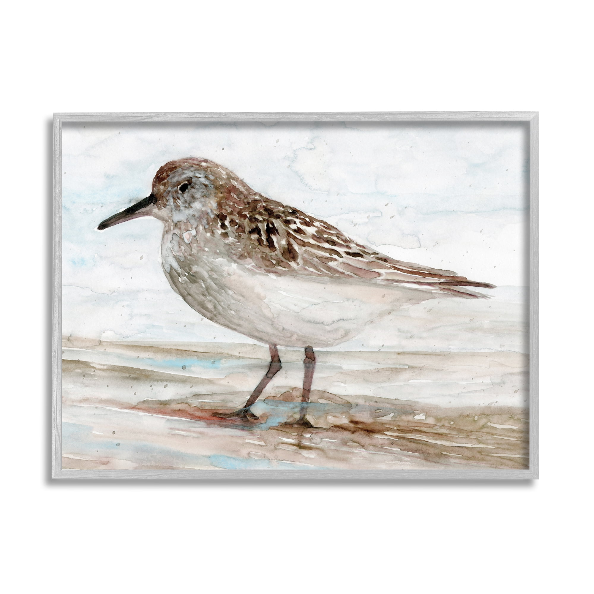Stupell Industries Sandpiper Painting Speckled Feather Beach Bird Nautical Coast, 14 x 11, Design by Stellar Design Studio