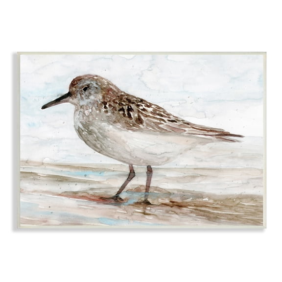 Stupell Industries Sandpiper Painting Speckled Feather Beach Bird Nautical Coast, 15 x 10, Design by Stellar Design Studio