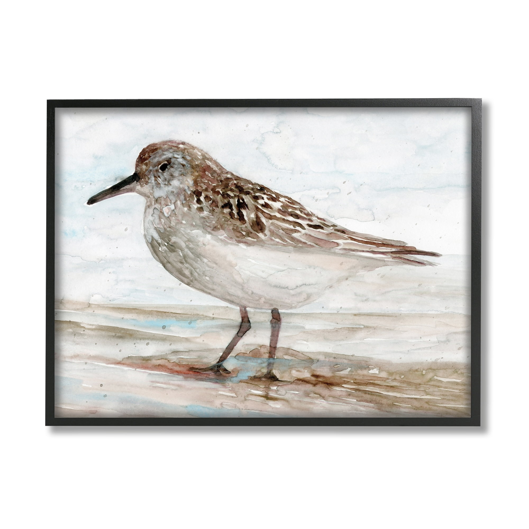 Stupell Industries Sandpiper Painting Speckled Feather Beach Bird Nautical Coast, 30 x 24, Design by Stellar Design Studio
