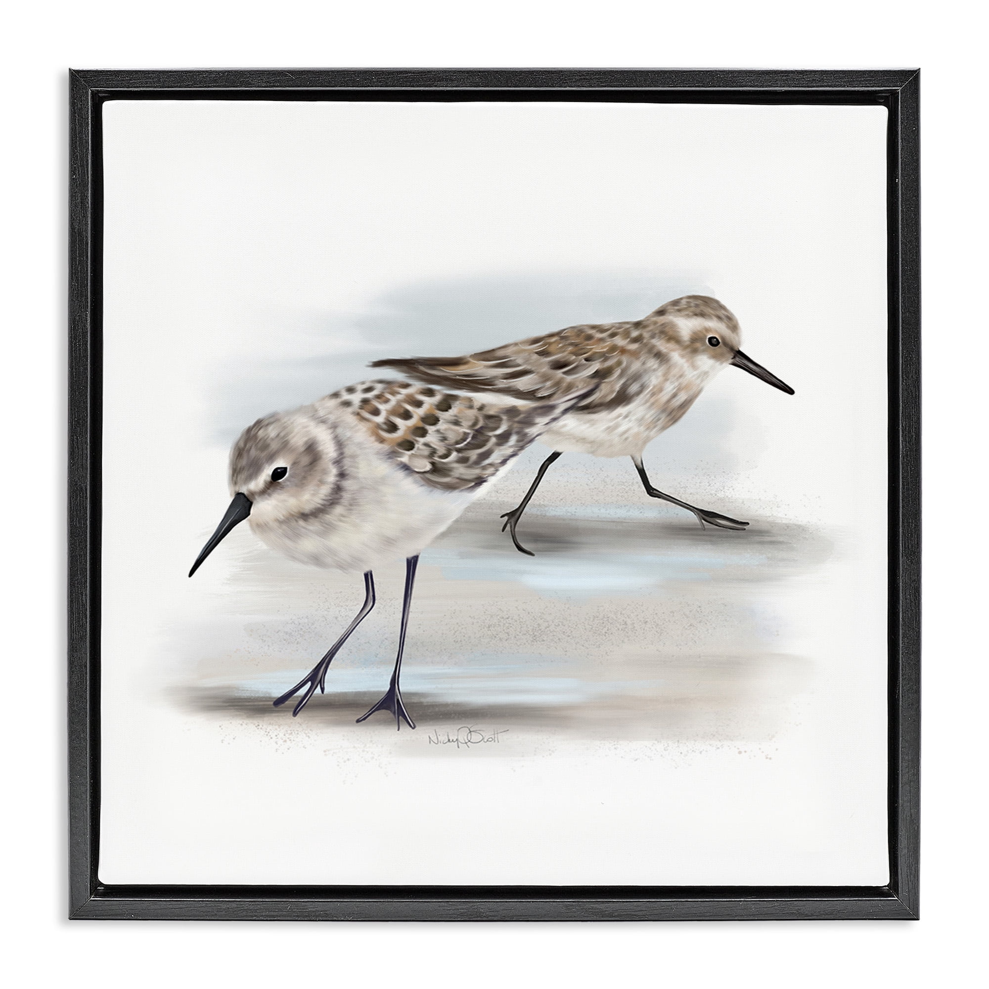 Stupell Industries Sandpiper Pair on Sandy Beach Animals & Insects Drawing Black Floater Framed Canvas Art Print Wall Art, 25 x 25