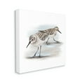 thumbnail image 1 of Stupell Industries Sandpiper Pair on Sandy Beach Small Nautical Birds, 24 x 24, Designed by Studio Q, 1 of 6