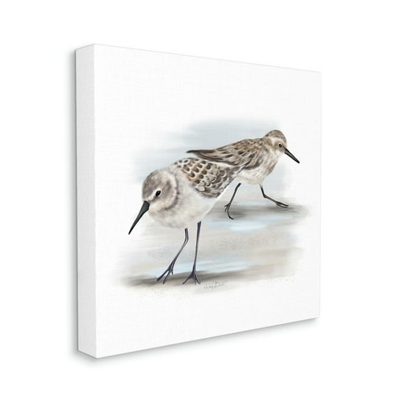Stupell Industries Sandpiper Pair on Sandy Beach Small Nautical Birds, 24 x 24, Designed by Studio Q