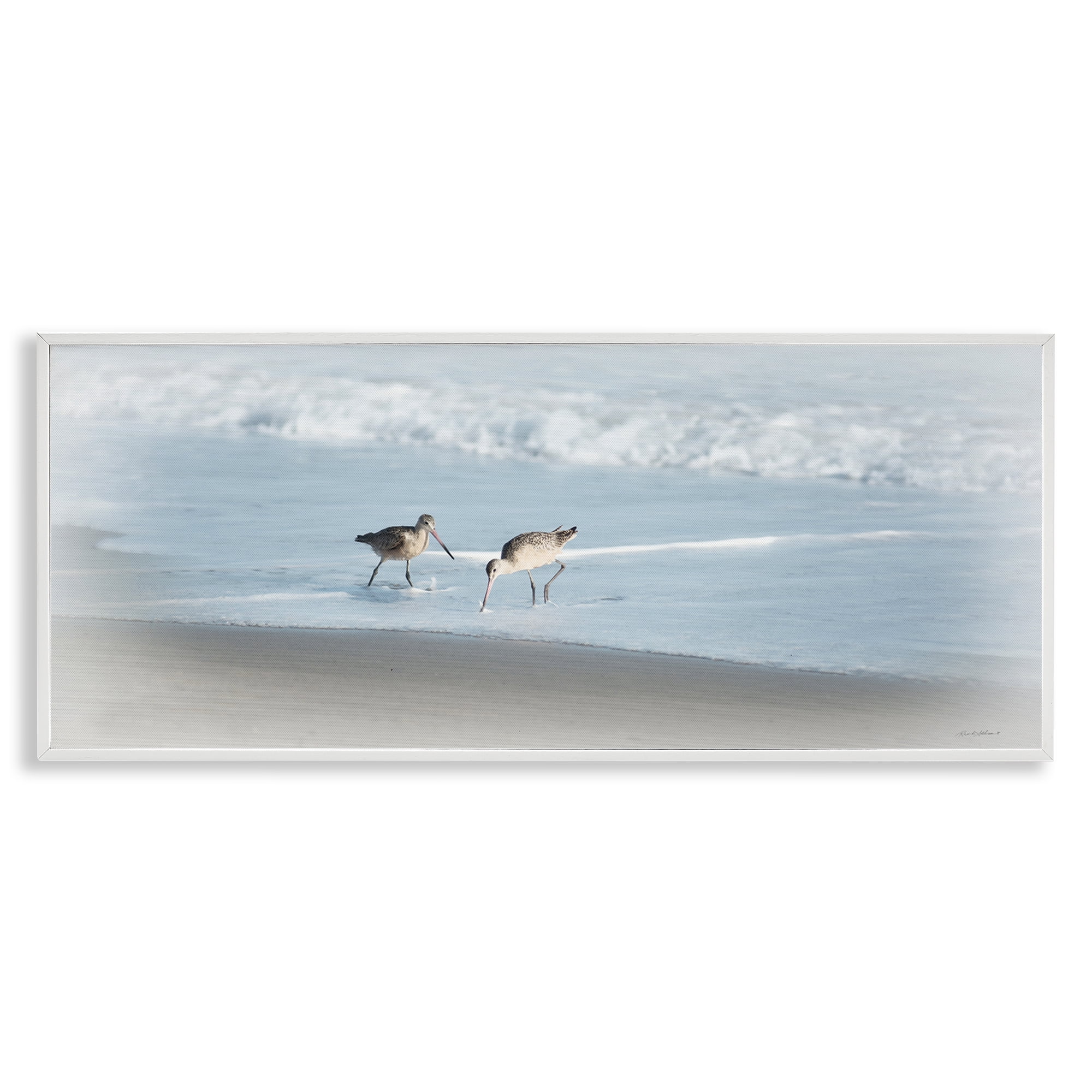 Stupell Industries Sandpiper Pair on Shore Nautical & Beach Painting White Framed Art Print Wall Art, 30 x 13