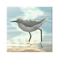 Stupell Industries Sandpiper Standing Coastal Ocean Tide Graphic Art Gallery Wrapped Canvas Print Wall Art, Design by Marcus Prime
