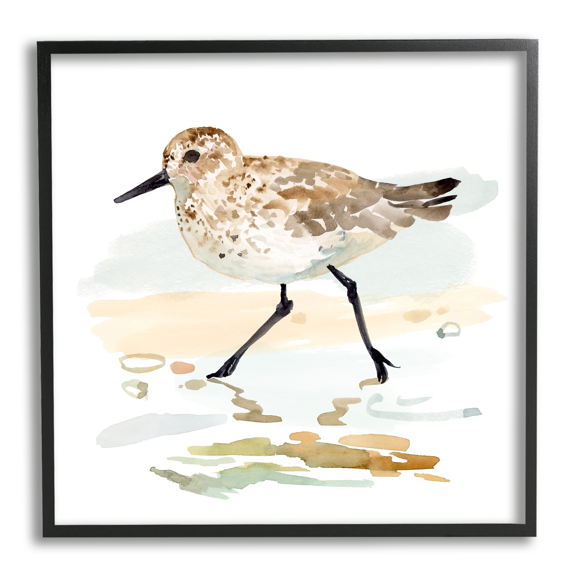 Stupell Industries Sandpiper Stepping on Shore Animals & Insects Painting Black Framed Art Print Wall Art, 12 x 12