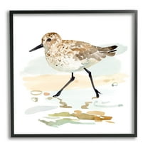 Stupell Industries Sandpiper Stepping on Shore Animals & Insects Painting Black Framed Art Print Wall Art, 12 x 12
