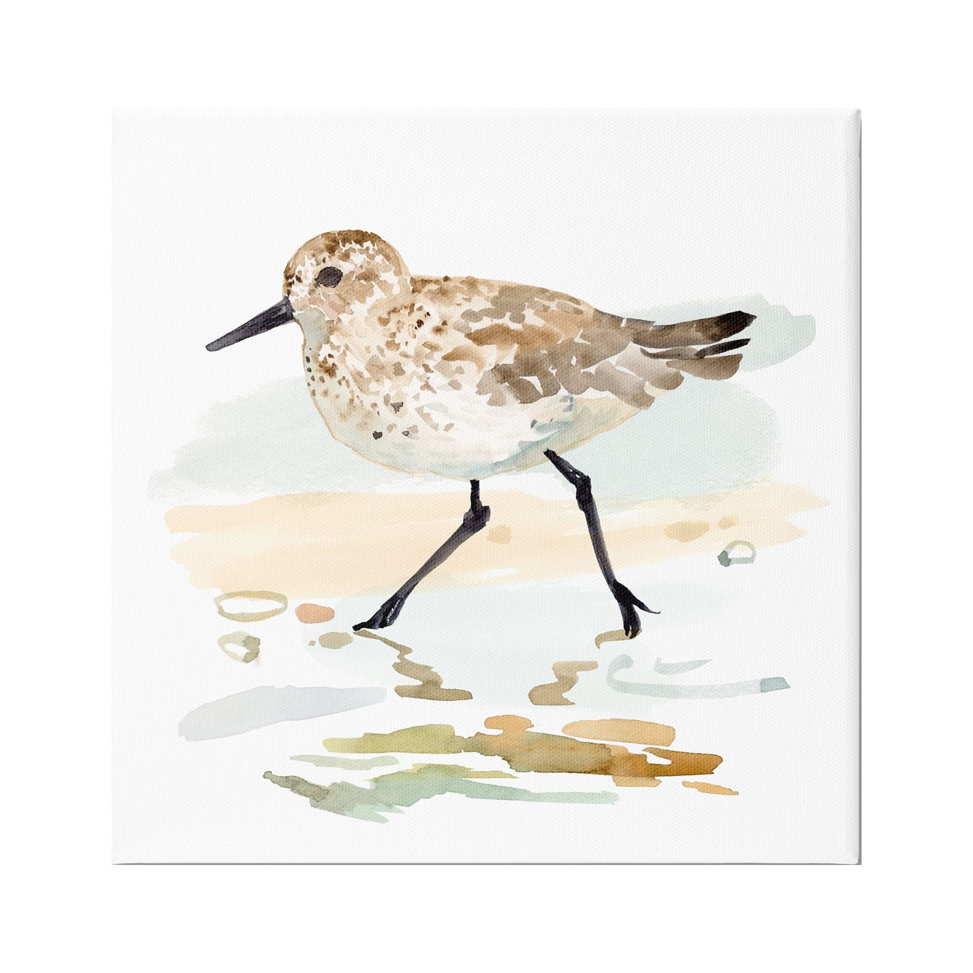 Stupell Industries Sandpiper Stepping on Shore Animals & Insects Painting Gallery Wrapped Canvas Art Print Wall Art, 24 x 24
