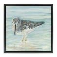 thumbnail image 1 of Stupell Industries Sandpiper in Shallow Beach Waters Animals & Insects Painting Black Floater Framed Canvas Art Print Wall Art, 18 x 18, 1 of 9