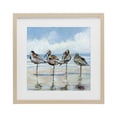 thumbnail image 1 of Stupell Industries Coastal Sandpipers Balancing On Beach Birch Framed Print Under Glass, 16 x 16, by Susan Winget, 1 of 8