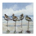 thumbnail image 1 of Stupell Industries Coastal Sandpipers Balancing On Beach Canvas Art, 36 x 36, by Susan Winget, 1 of 8