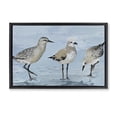 thumbnail image 1 of Stupell Industries Transitional Sandpipers Beach Coastal Scene Black Floating Frame Canvas Art, 25 x 17, by Lorenzo Collective, 1 of 8