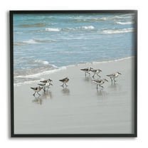 Stupell Industries Sandpipers Flock Sandy Beach Shore Coastal Painting Black Framed Art Print Wall Art