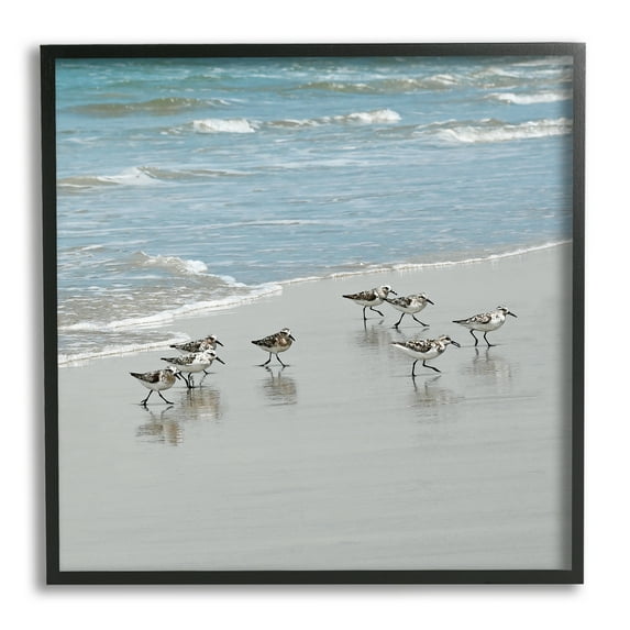 Stupell Industries Sandpipers Flock Sandy Beach Shore Coastal Painting Black Framed Art Print Wall Art