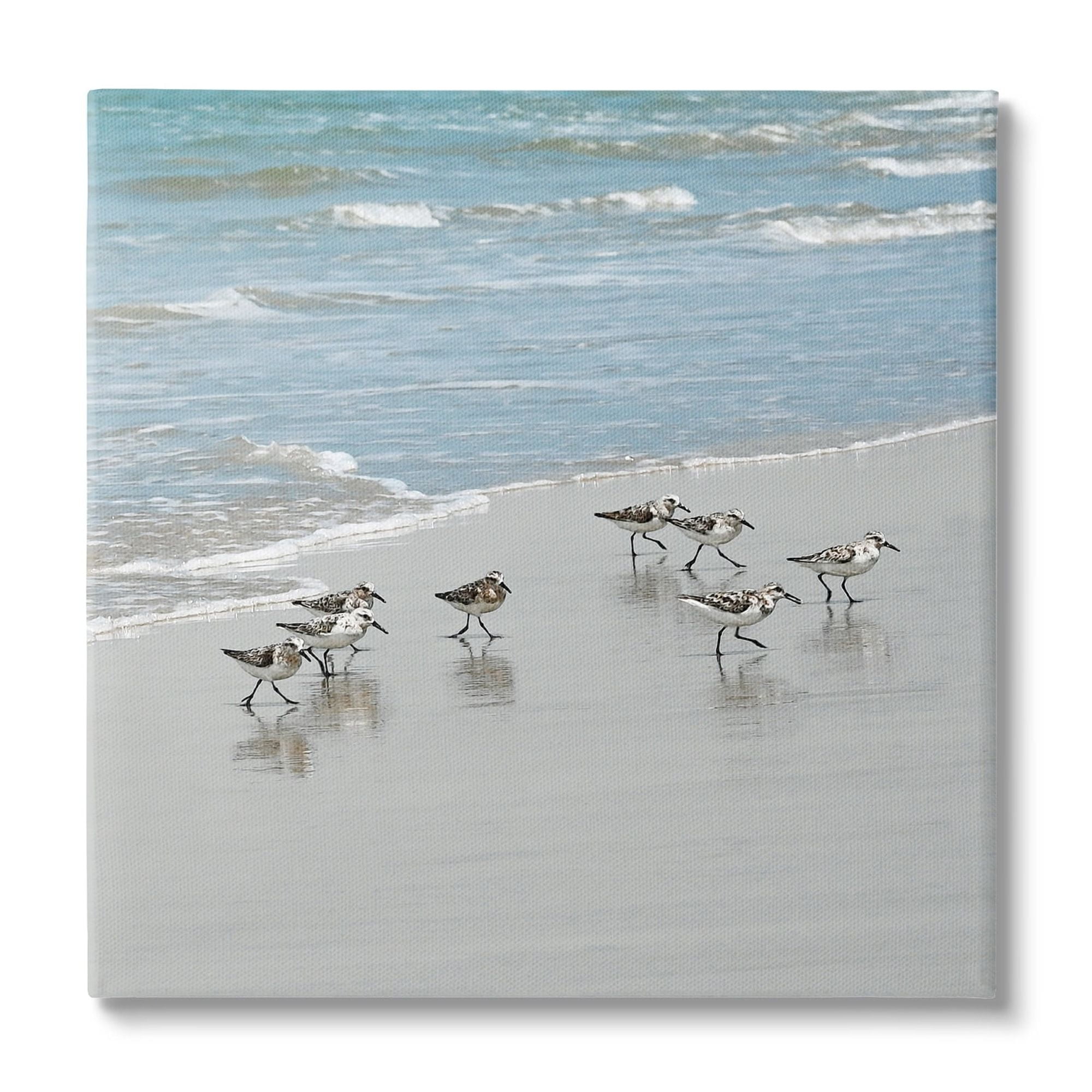Sandpipers on Sandy Beach Coastal Canvas Print, 17 x 17