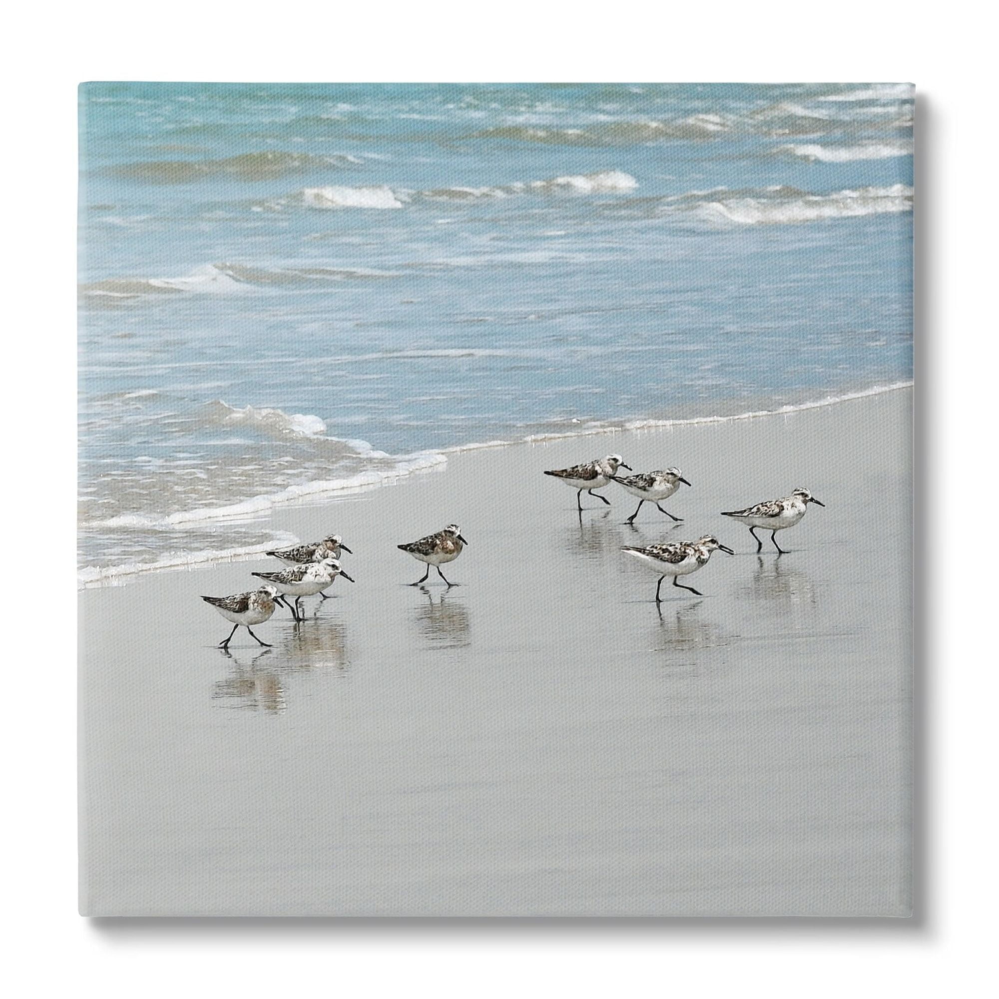 Sandpipers Flock Sandy Beach Shore Coastal Canvas Print