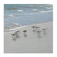 thumbnail image 1 of Stupell Industries Rustic Lodge Sandpipers Flock Sandy Beach Shore Canvas Art, 30 x 30, by Natalie Carpentieri, 1 of 6
