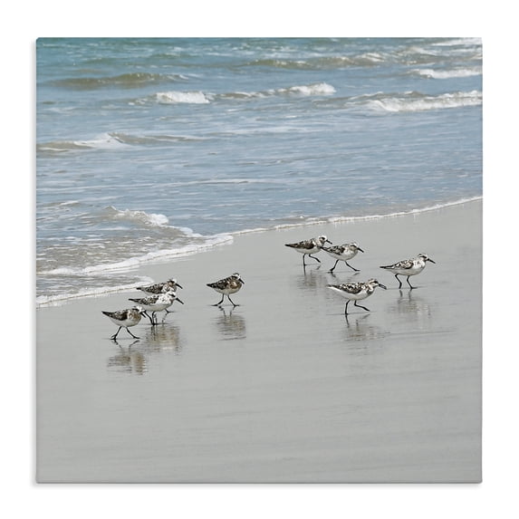 Stupell Industries Rustic Lodge Sandpipers Flock Sandy Beach Shore Canvas Art, 30 x 30, by Natalie Carpentieri