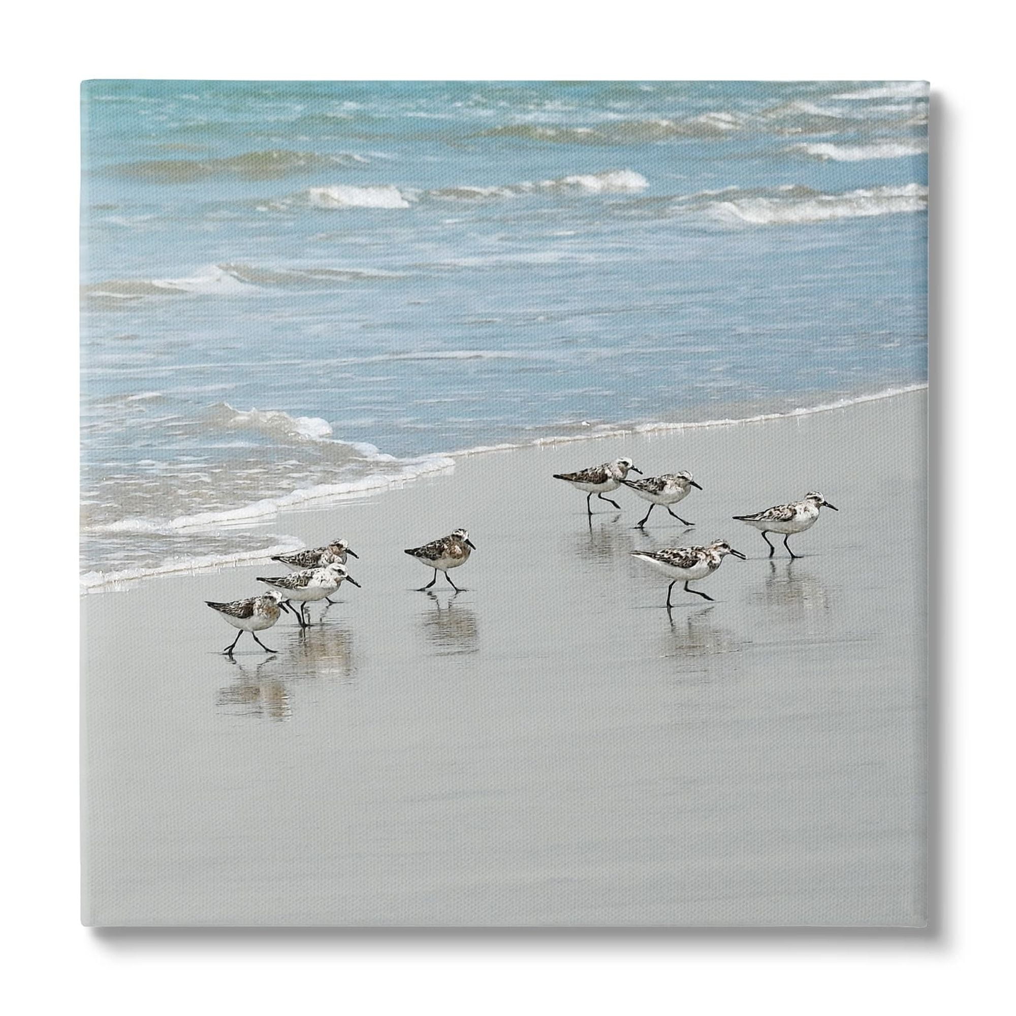 Sandpipers Flock Sandy Beach Shore Coastal Canvas Print