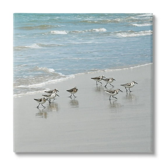 Stupell Industries Sandpipers Flock Sandy Beach Shore Coastal Painting Gallery Wrapped Canvas Print Wall Art
