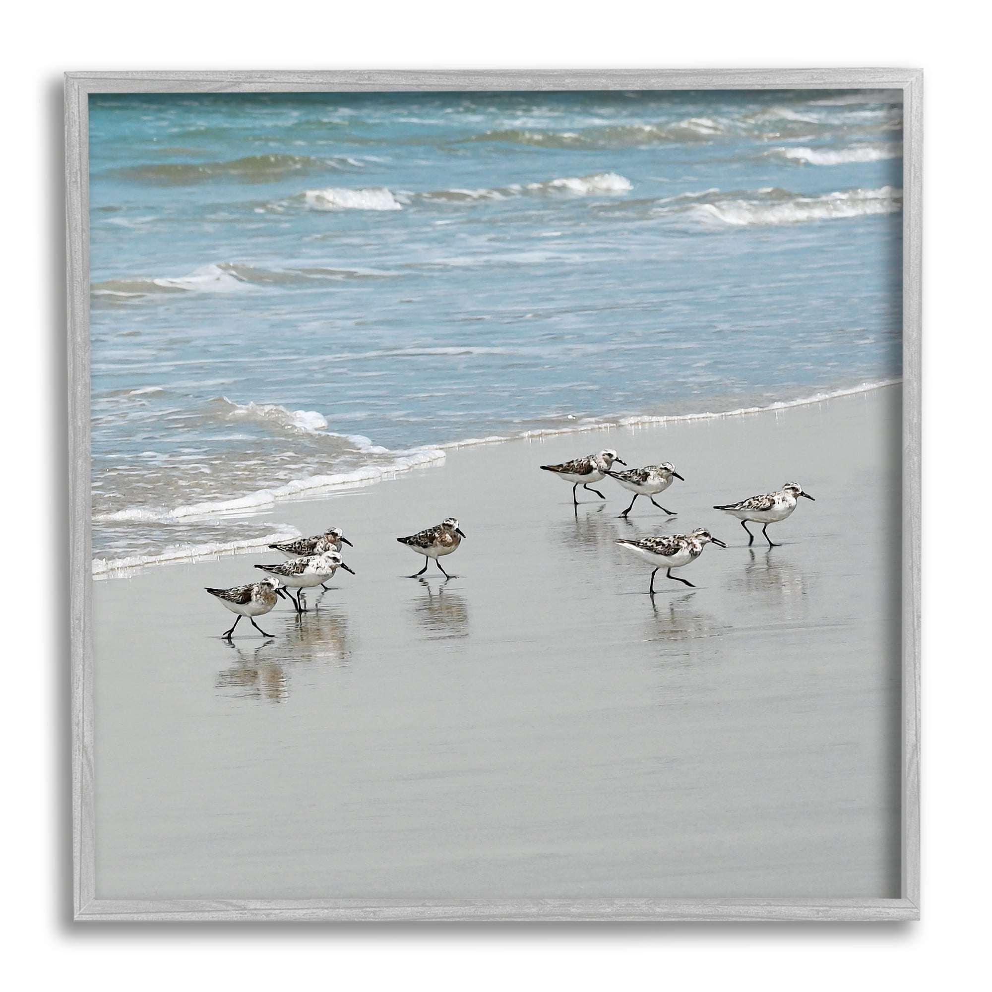 Stupell Industries Sandpipers Flock Sandy Beach Shore Coastal Painting Gray Framed Art Print Wall Art