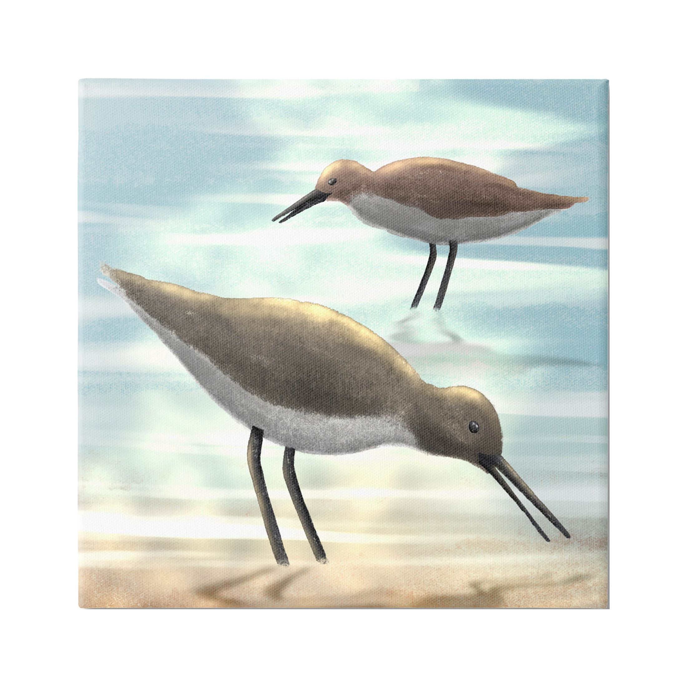 Stupell Industries Sandpipers Grazing Coastal Ocean Shore Graphic Art Gallery Wrapped Canvas Print Wall Art, Design by Marcus Prime