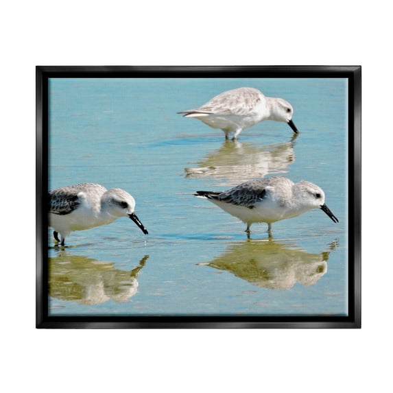 Stupell Industries Sandpipers Shallow Water Reflection Coastal Photography Black Floater Framed Art Print Wall Art