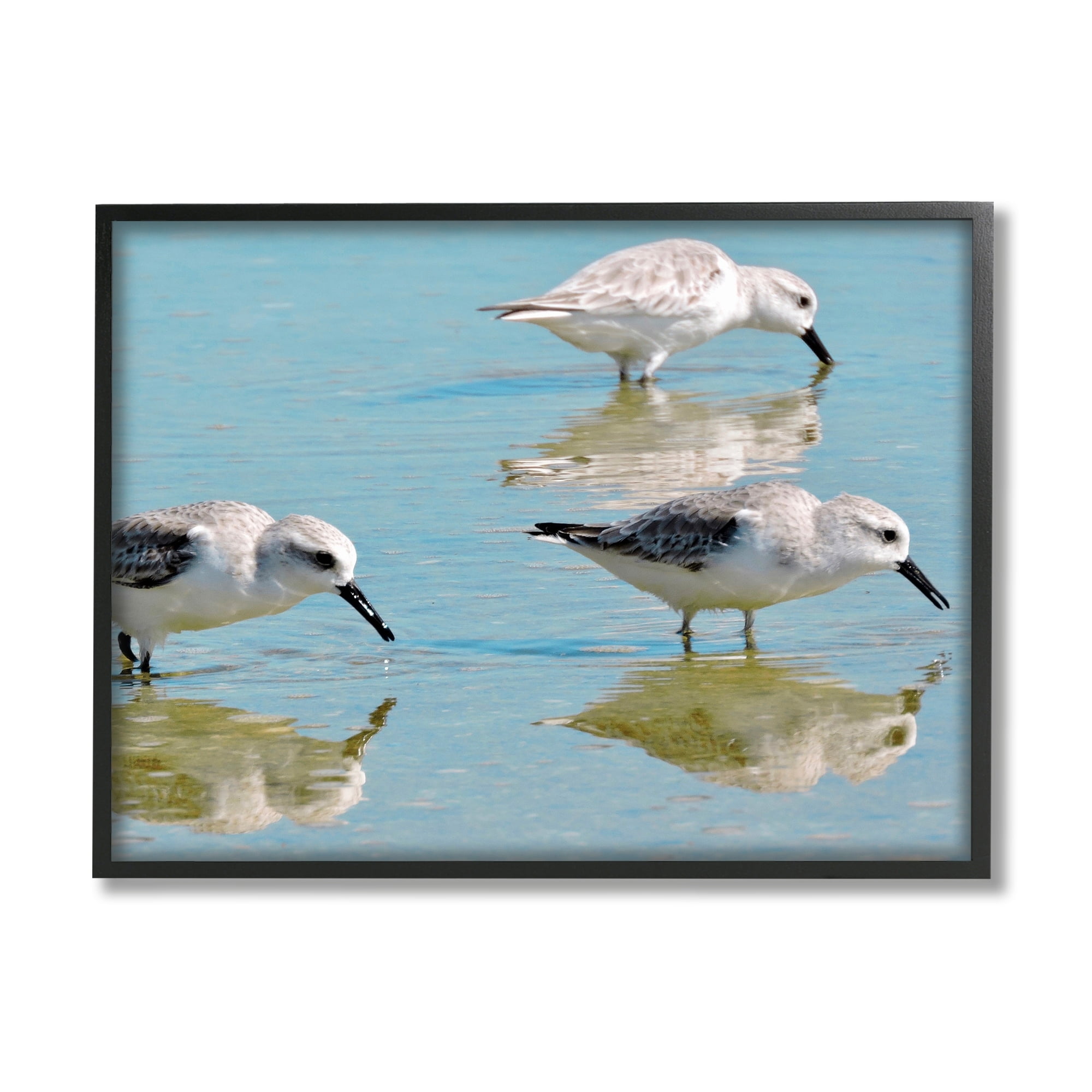 Stupell Industries Sandpipers Shallow Water Reflection Coastal Photography Black Framed Art Print Wall Art