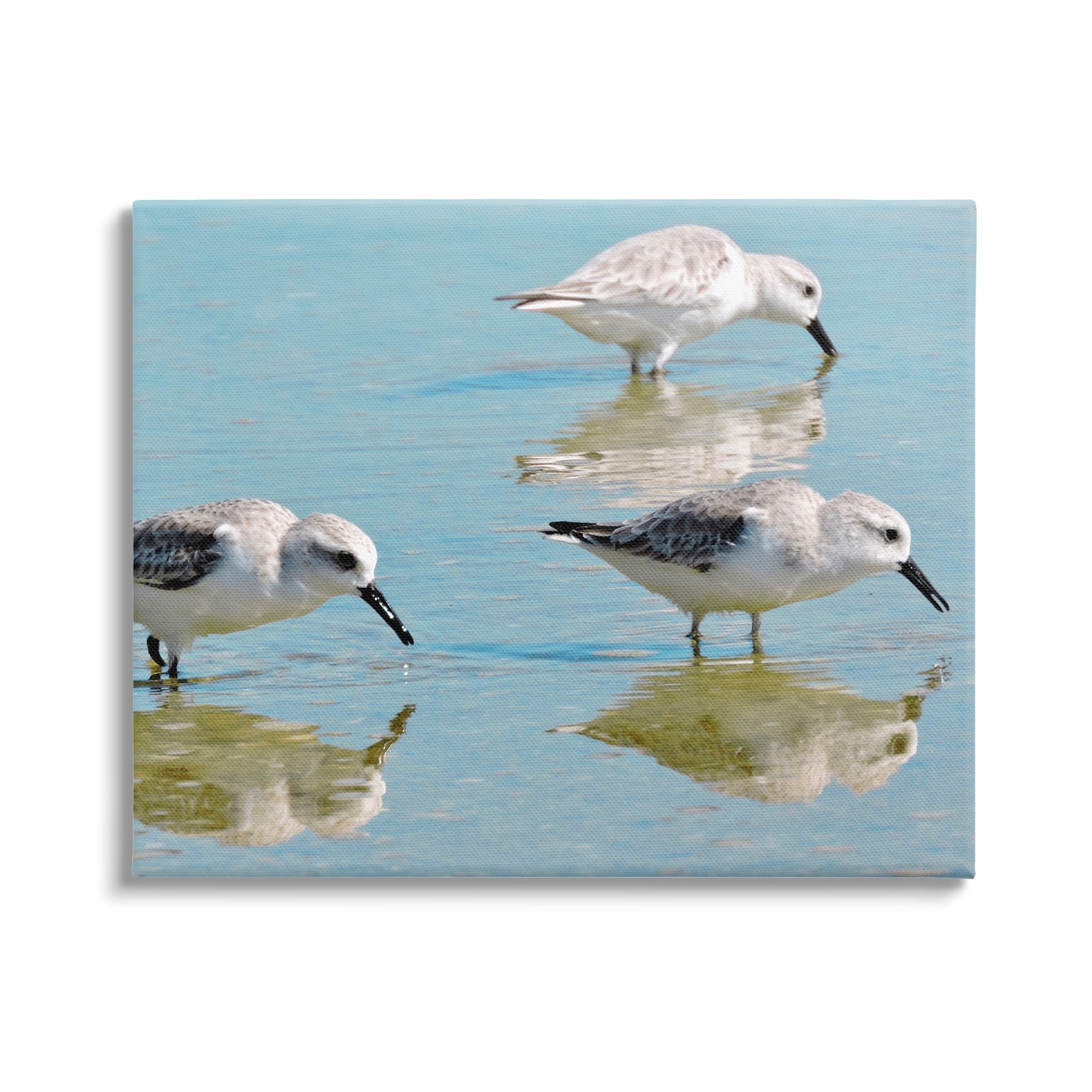 Stupell Industries Sandpipers Shallow Water Reflection Coastal Photography Gallery Wrapped Canvas Print Wall Art