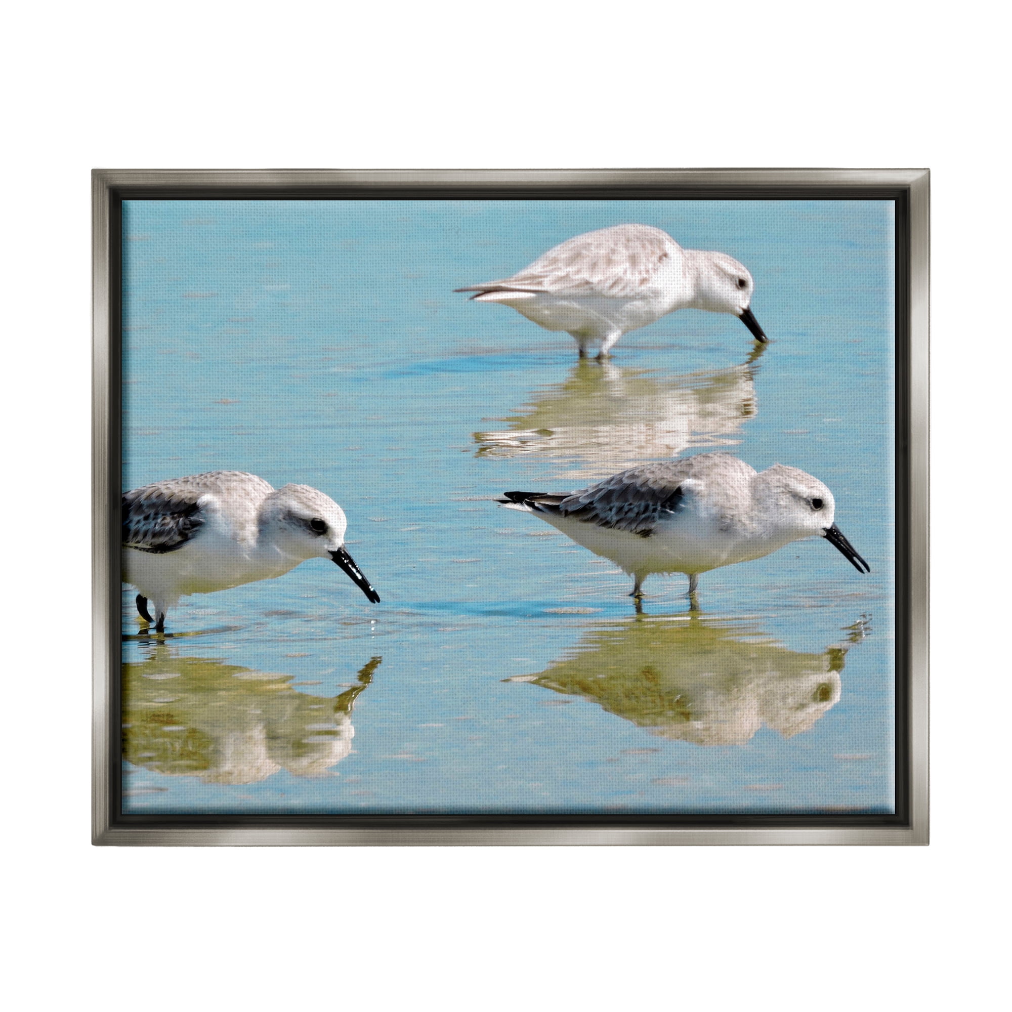 Stupell Industries Sandpipers Shallow Water Reflection Coastal Photography Gray Floater Framed Art Print Wall Art