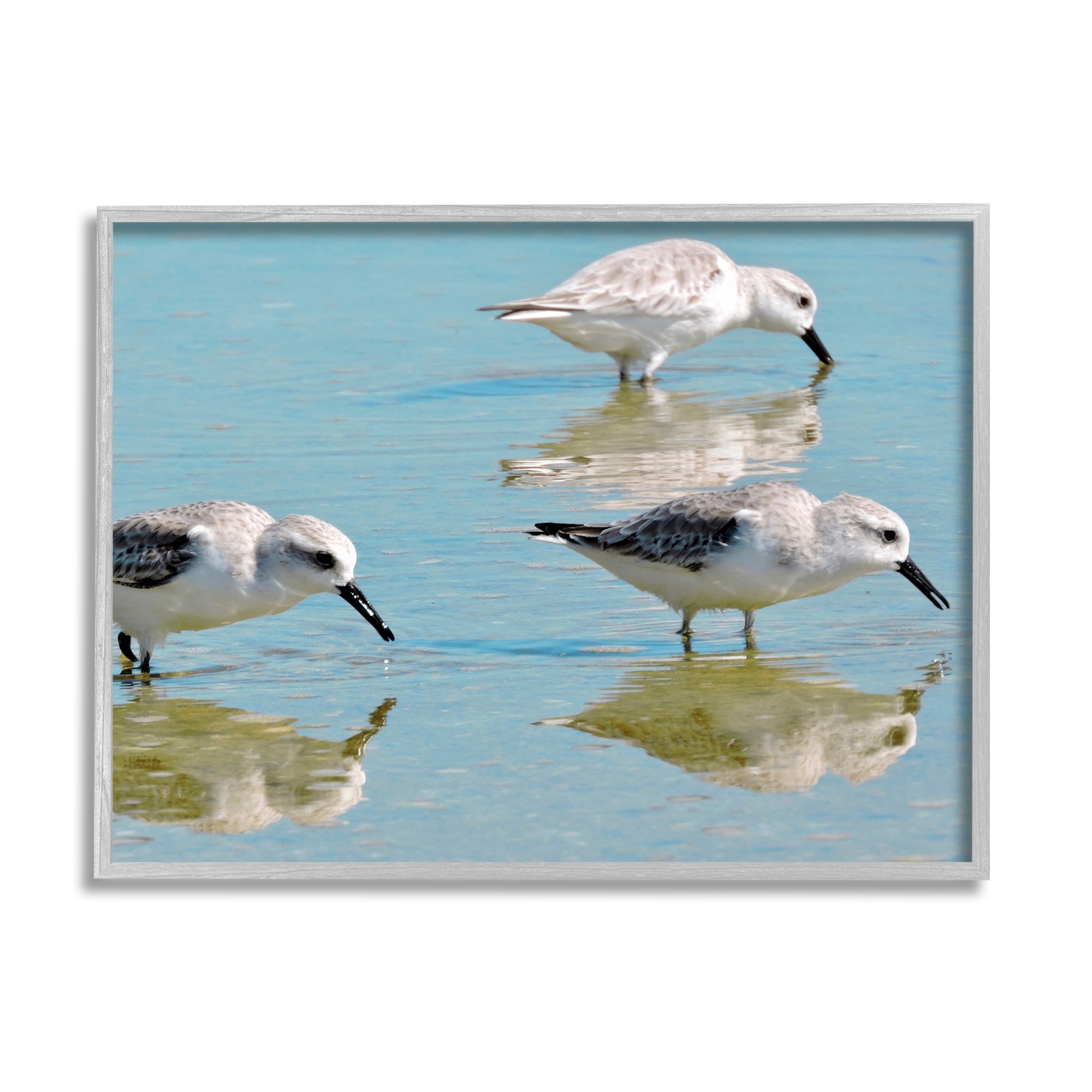 Stupell Industries Sandpipers Shallow Water Reflection Coastal Photography Gray Framed Art Print Wall Art