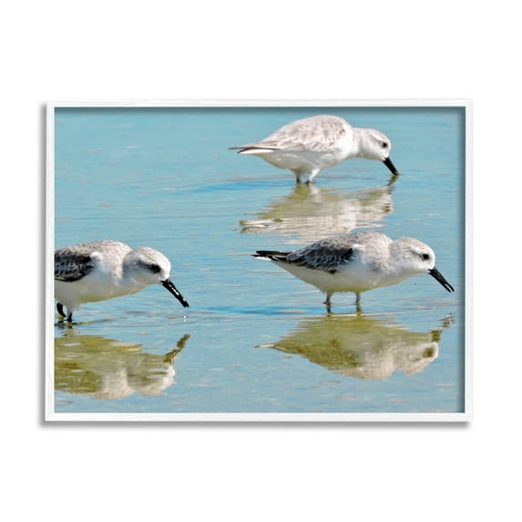 Stupell Industries Sandpipers Shallow Water Reflection Coastal Photography White Framed Art Print Wall Art