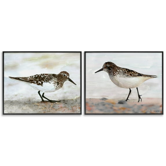 Stupell Industries Sandpipers on Coast Nautical Beach Animals & Insects Painting Black Framed Art Print Wall Art, 30 x 24, Set of 2