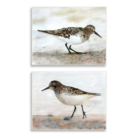 Stupell Industries Sandpipers on Coast Nautical Bird Beach Scene Design by Stellar Design Studio